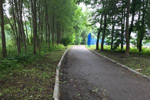 Дятлинку покосили (ФОТО)