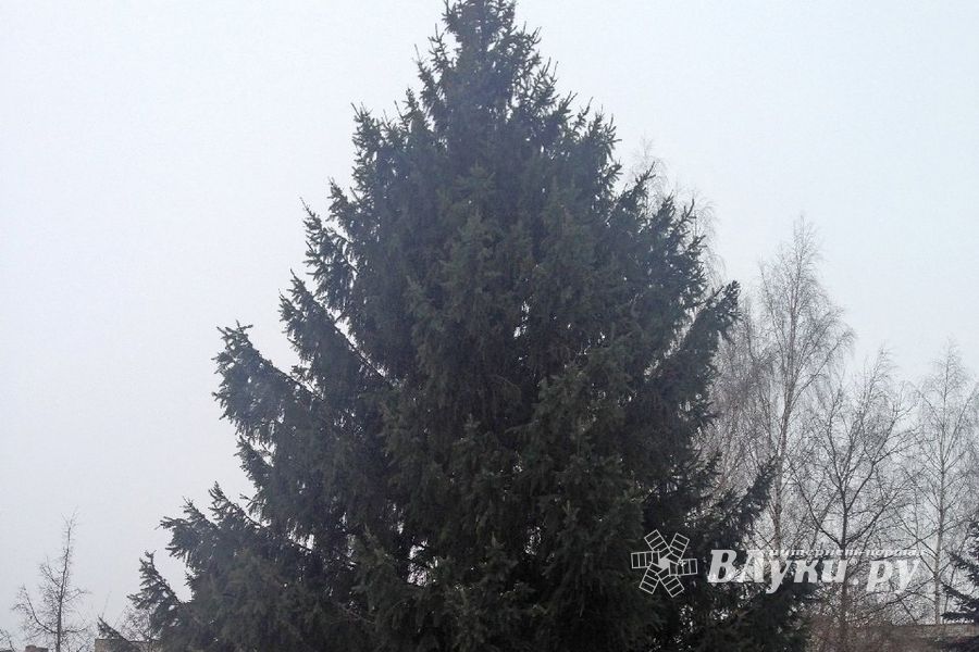 Город готовится к Новому году