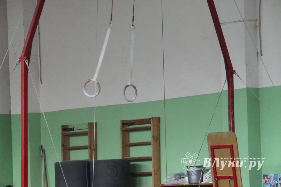 В Великих Луках прошел турнир по спортивной гимнастике (фото)