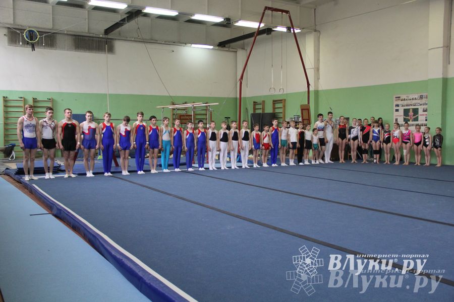 В Великих Луках прошел турнир по спортивной гимнастике (фото)