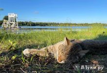 Прогноз погоды в Великих Луках на 3 сентября