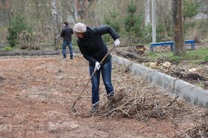 На острове Дятлинка проходит субботник