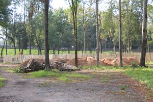 В великолукском парке приступили к планировке территории (ФОТО)