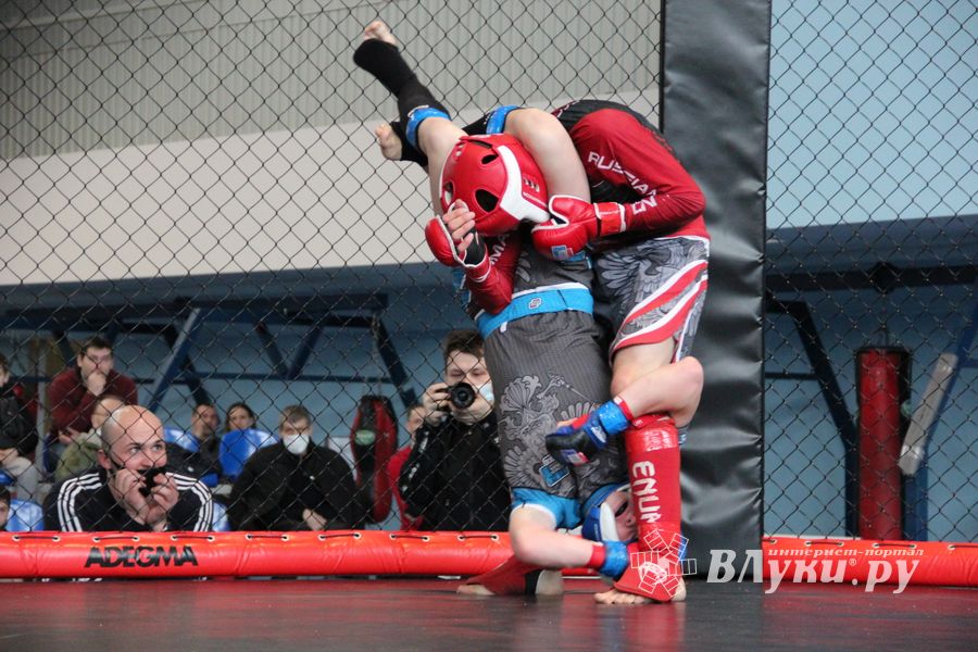 В Великих Луках прошел кубок по смешанному боевому единоборству (ФОТО)
