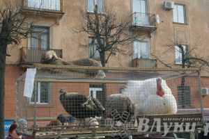 Весенняя ярмарка 2013 прошла в Великих Луках