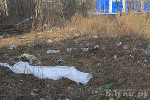 Город в ожидании субботника