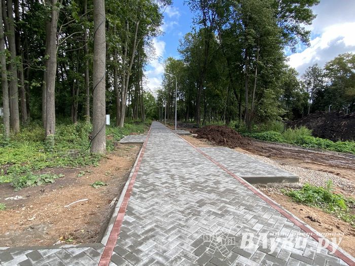 Новости из будущего парка Петровского (ФОТО)