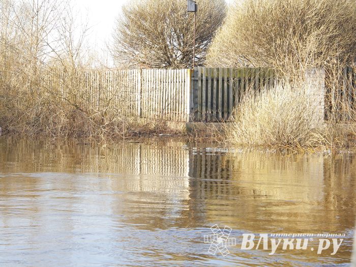 В Великих Луках продолжаются поиски мужчины, пропавшего 9 марта (ФОТО)