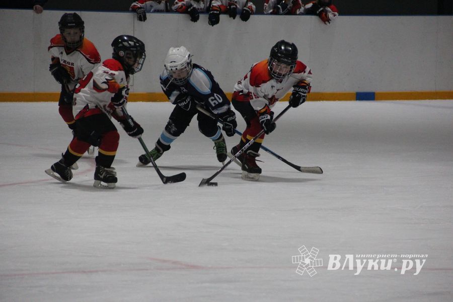 Товарищескике хоккейные игры между детскими командами прошли в Великих Луках (ФОТО)