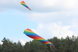 Праздник поэзии