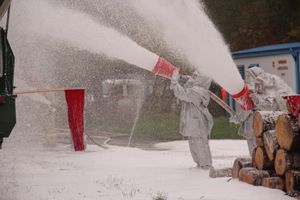 В Великих Луках тушили вагон поезда (ФОТО)