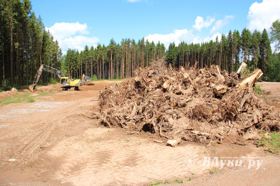 Строительство велоцентра в Великих Луках: склад, спортплощадки, велодорожки и земляника (ФОТО)