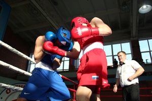 В Великих Луках прошел турнир по боксу памяти Е. Клевцова (ФОТО)