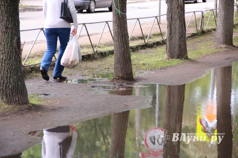 Мечта великолучан: по городу в чистой обуви (ФОТО)