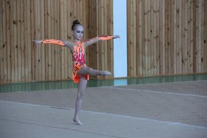 В Великих Луках прошло ​Открытое первенство города по художественной гимнастике (фото)