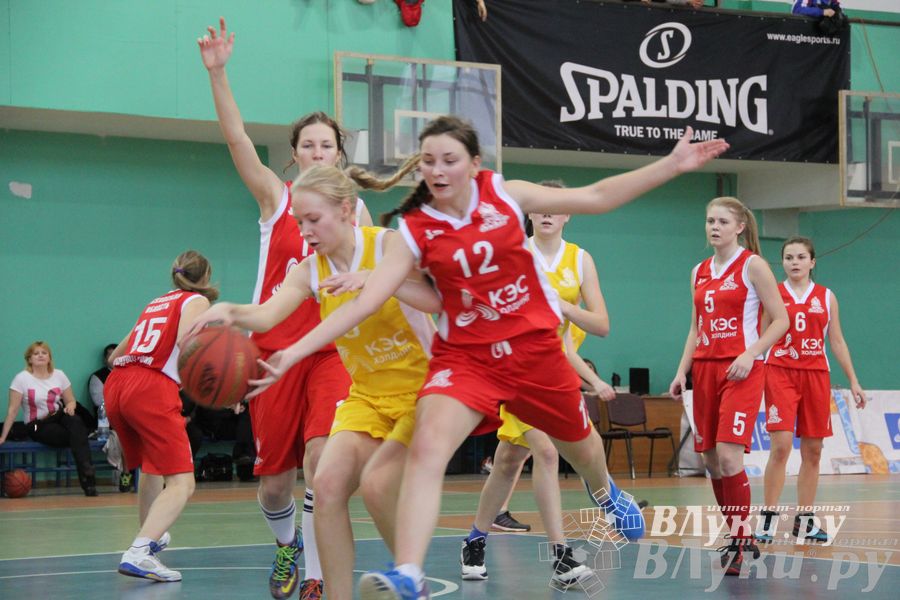 Чемпионат ШБЛ «КЭС-БАСКЕТ» сезона 2013-2014 гг. Псковской области