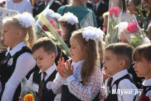 © ВЛуки.ру