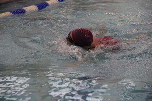 В Великих Луках прошло Первенство города по плаванию (ФОТО)