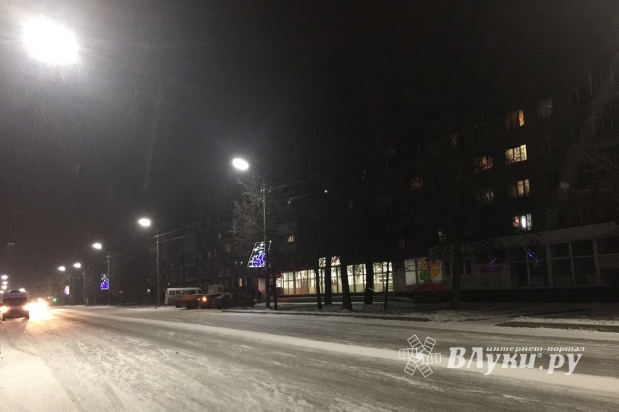 Великолукских белок не выдерживают уличные столбы (ФОТО)