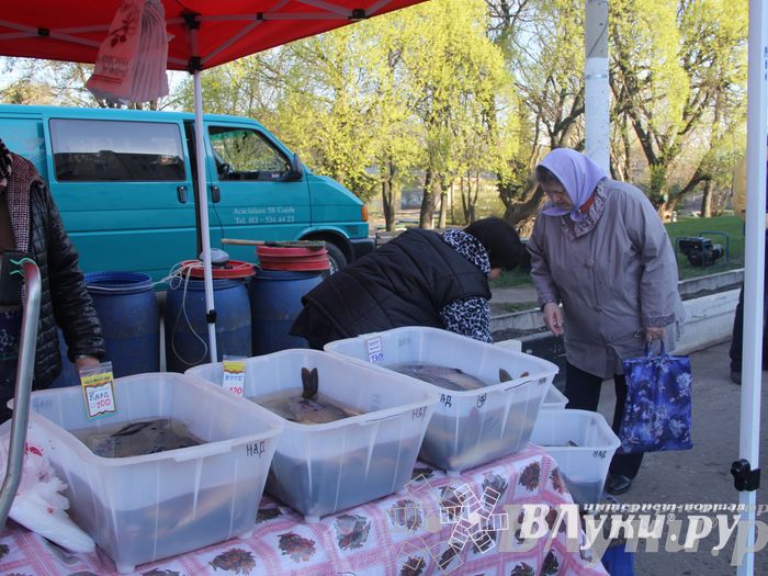 Традиционная весенняя ярмарка прошла в Великих Луках