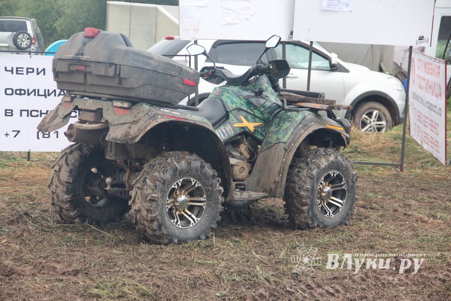 Кураж (ФОТО)