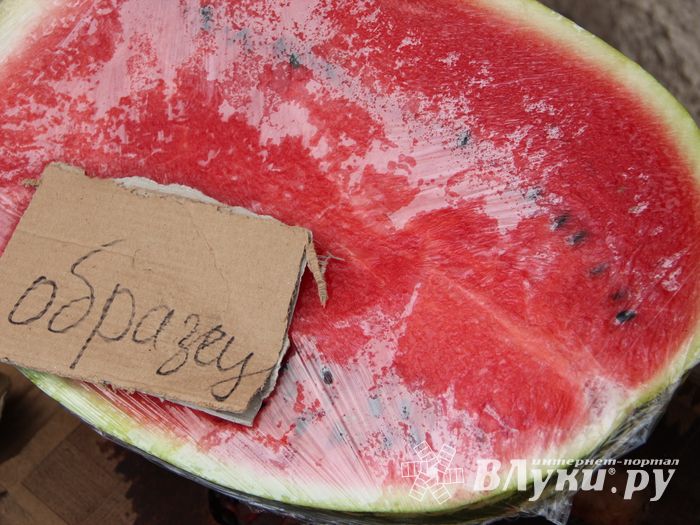 В Великих Луках проверили бахчевые (ФОТО)