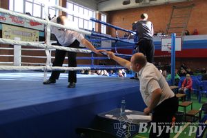 3-й день соревнований Международного турнира по боксу