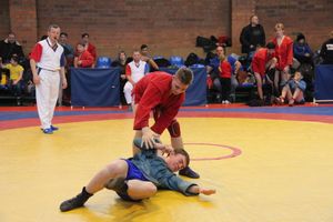 В Великих Луках прошли соревнования по самбо (ФОТО)