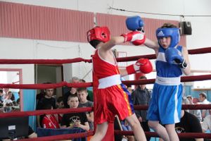 В Великих Луках прошло Первенство города по боксу (ФОТО)