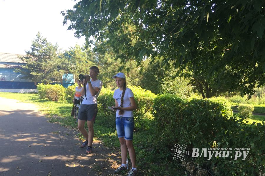В день физкультурника в Великих Луках прошел велопробег (фото).