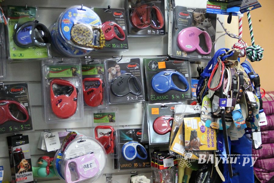 «Zooбастики»: подарите праздник своим любимцам! (ФОТО+ВИДЕО)