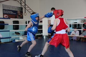 В Великих Луках завершился открытый турнир по боксу (ФОТО)