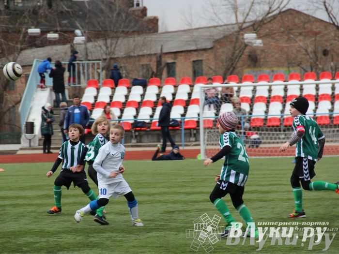 В Великих Луках прошел международный детский турнир по футболу «Наши надежды»