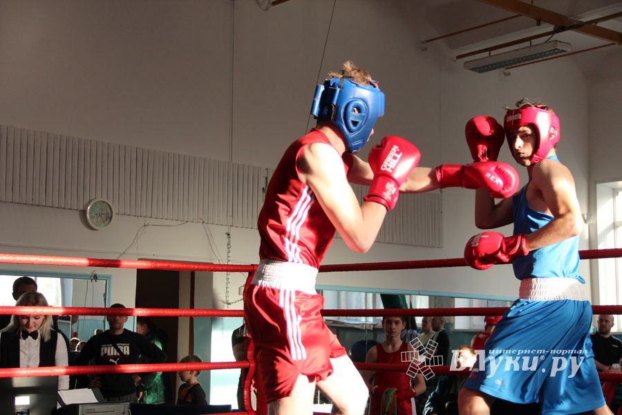 В Великих Луках завершились соревнования по боксу (ФОТО)