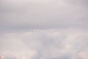 В Великих Луках проходит 7-й Фестиваль авиамодельного спорта (ФОТО)