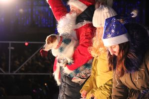 В Великих Луках зажгли Ёлку (ФОТО)