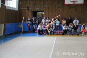 В Великих Луках прошло Первенство по художественной гимнастике (фото)
