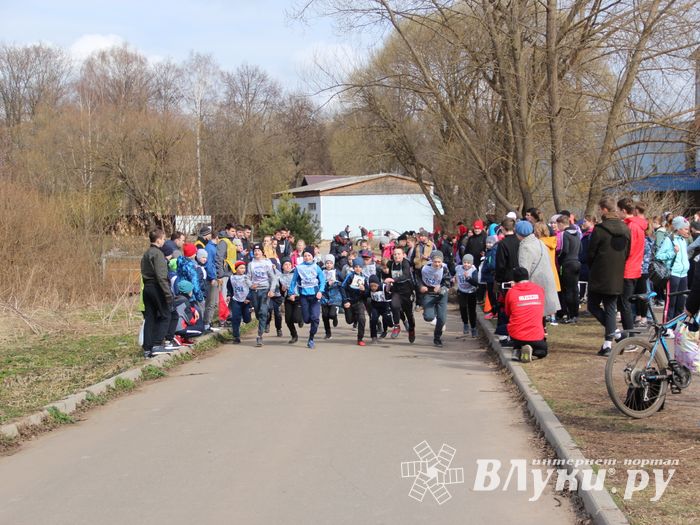В Великих Луках прошёл легкоатлетический кросс (ФОТО)