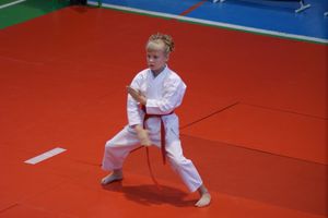 В Великих Луках прошли соревнования по каратэ (ФОТО)