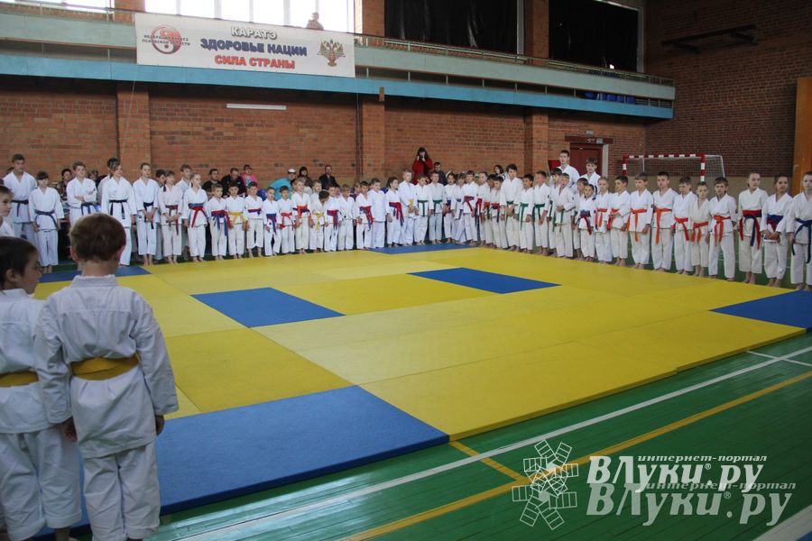 Великолучане стали победителями турнира по каратэ «Неприкосновенный запас, дети — Отчизны 2015» (фото)