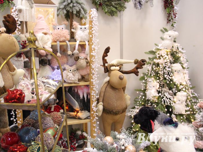 В Великих Луках открылась 10-я универсальная выставка (ФОТО)