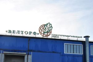 Рыльков Дмитрий Владимирович, первый заместитель генерального директора ООО «Велторф»