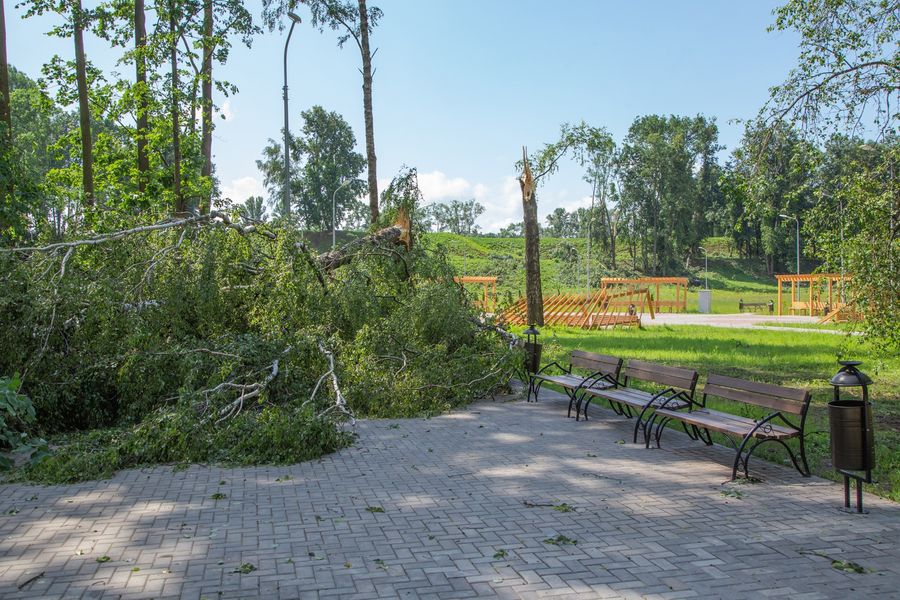 Небезразличные великолучане помогают убрать город после урагана (ФОТО)