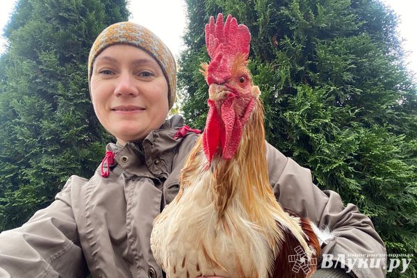 Вводятся новые ветеринарные правила для содержания птицы