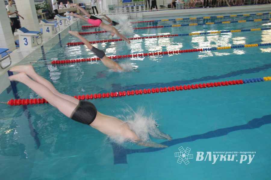 В Великих Луках прошли соревнования по плаванию «Быстрый Кашалот»