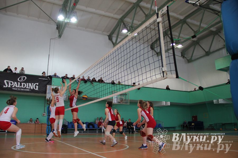 В Великих Луках прошли международные соревнования по волейболу (фото)