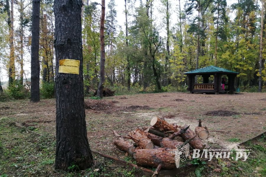 В Великих Луках создали «Парк под открытым небом» (ФОТО)