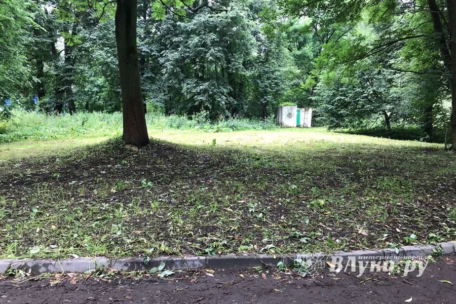 Дятлинку покосили (ФОТО)