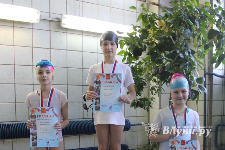 В Великих Луках прошли соревнования по плаванию «Весёлый дельфин»