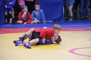 В Великих Луках проходит турнир самбистов (ФОТО)